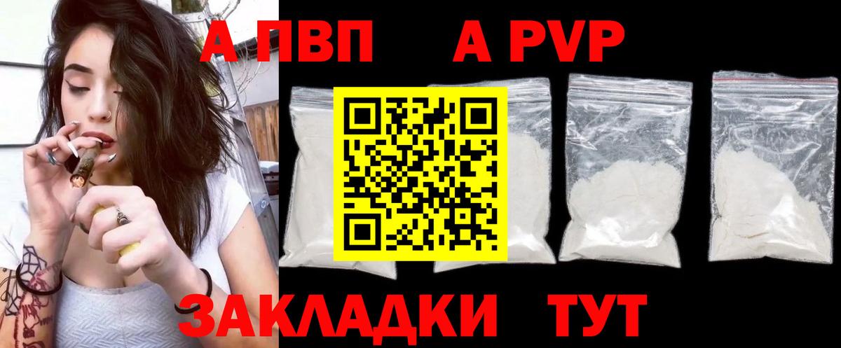 Альфа ПВП СК КРИС Великий Новгород