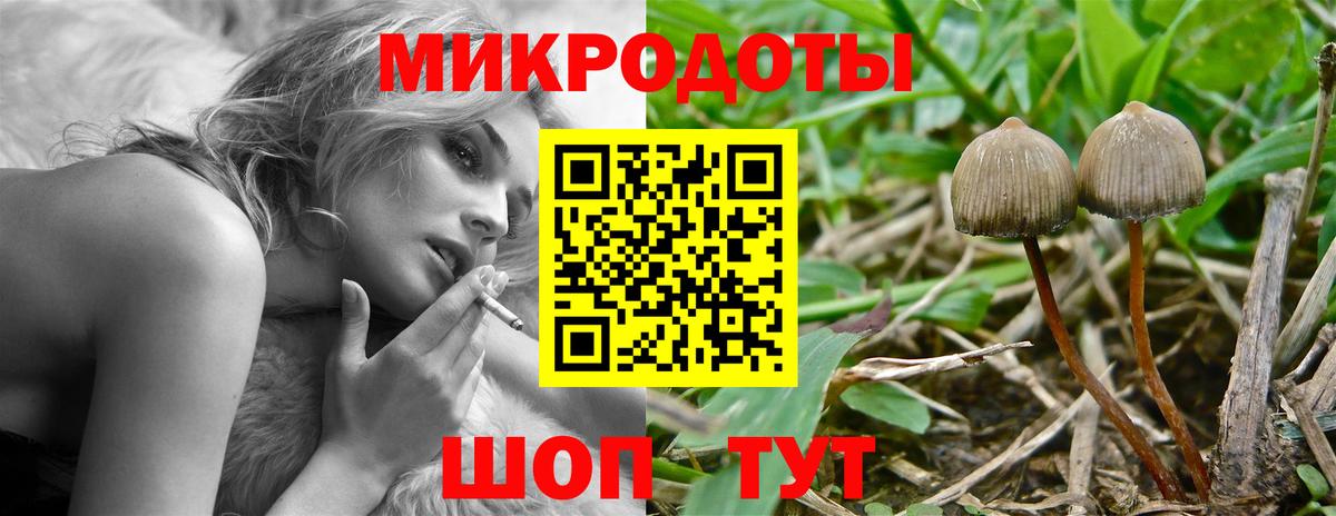 Великий Новгород  где можно купить наркотик  Вход с VPN  Галлюциногенные грибы Psilocybine cubensis 